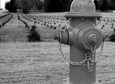 网页在线DDOS压力测试